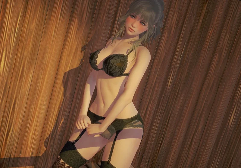 安卓+电脑【SLG+动态】一生一次 攻略+步-次元总站