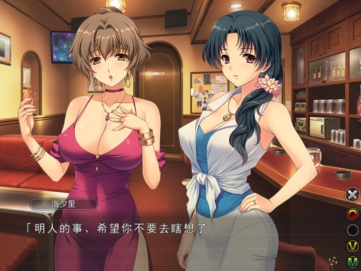 [人妻SLG/CV/]妻中蜜 3部合集+动画-次元总站