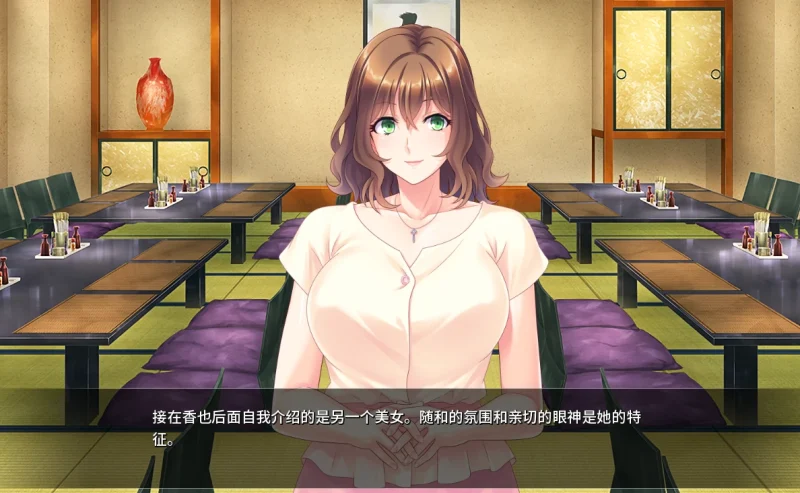 安卓+电脑（ADV）大姐姐宿舍管理员v1.1.3-次元总站