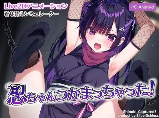 安卓+电脑【生肉/捆绑SLG/Live2D/动态】小忍被抓住啦！新作 骑-次元总站