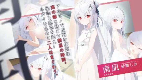 图片[6]-安卓+电脑【ADV/CV/兄妹/纯爱】 只愿 カタネガイ V1.03-次元总站